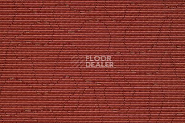 Ковролин Carpet Concept Ply Organic Aiк Burnt Sienna фото 1 | FLOORDEALER